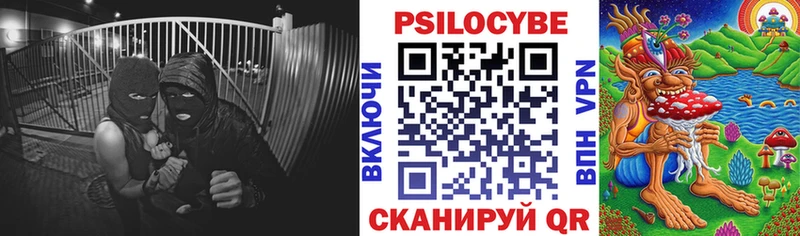 Галлюциногенные грибы мицелий  Щучье 